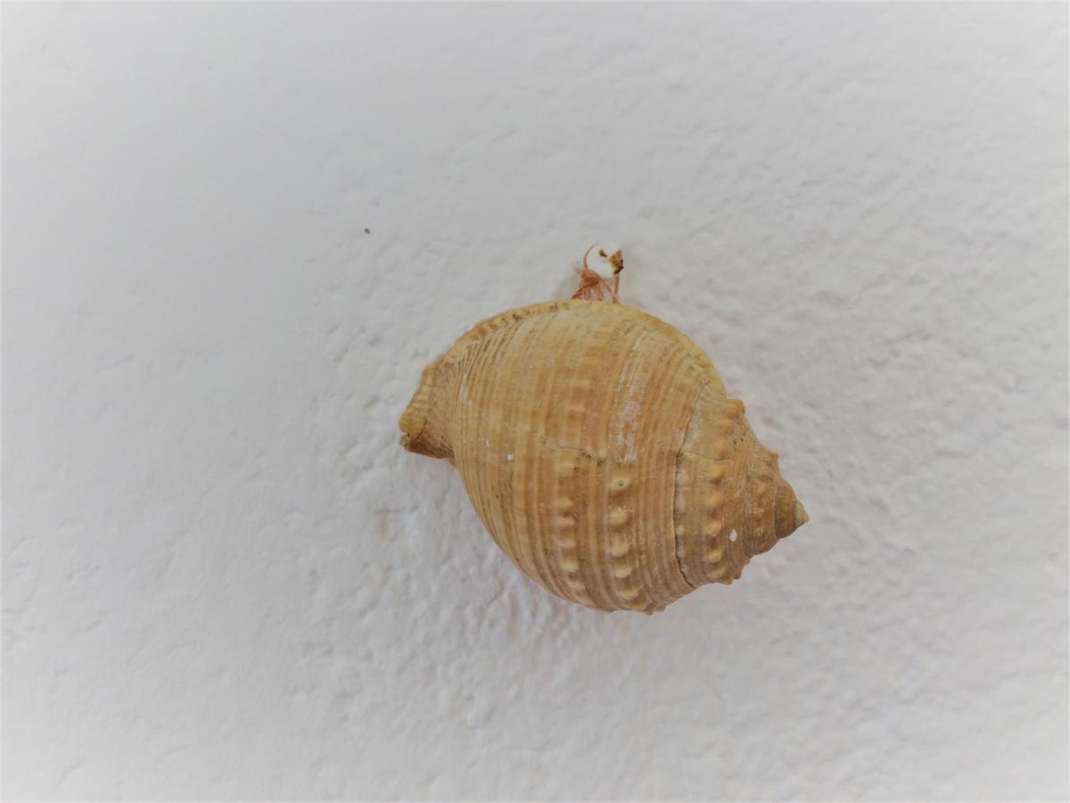 Apartman Turkesici Διαμέρισμα Jablanac Εξωτερικό φωτογραφία