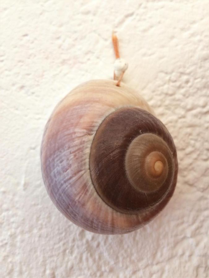 Apartman Turkesici Διαμέρισμα Jablanac Εξωτερικό φωτογραφία